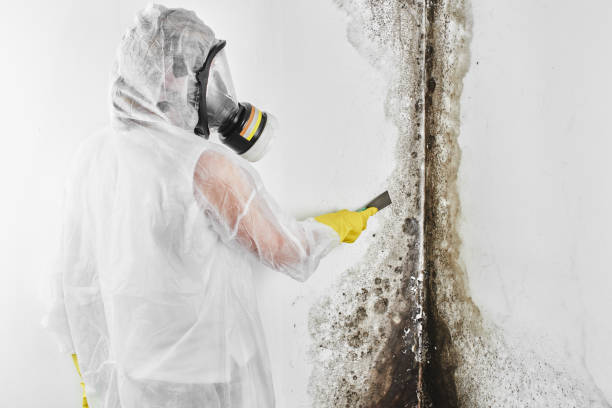 Best Emergency Mold Removal  in Eatonville, WA