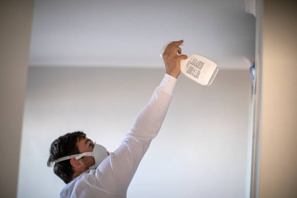 Best Attic Mold Removal  in Eatonville, WA