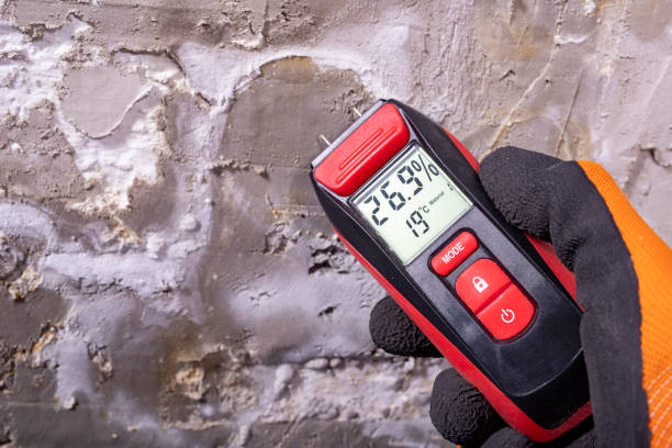 Best Best Mold Removal Companies  in Eatonville, WA