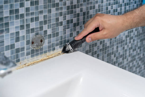 Professional Mold Removal in Eatonville, WA