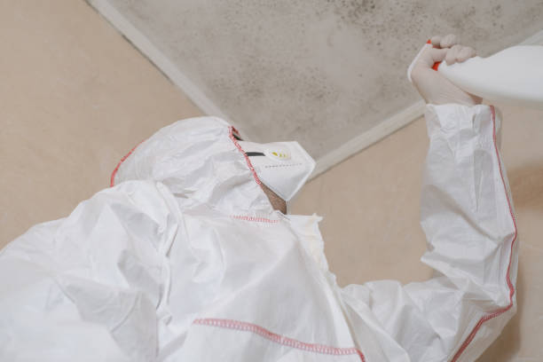 Best Local Mold Removal Service  in Eatonville, WA