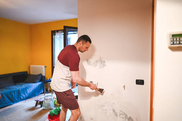 Best Mold Remediation  in Eatonville, WA